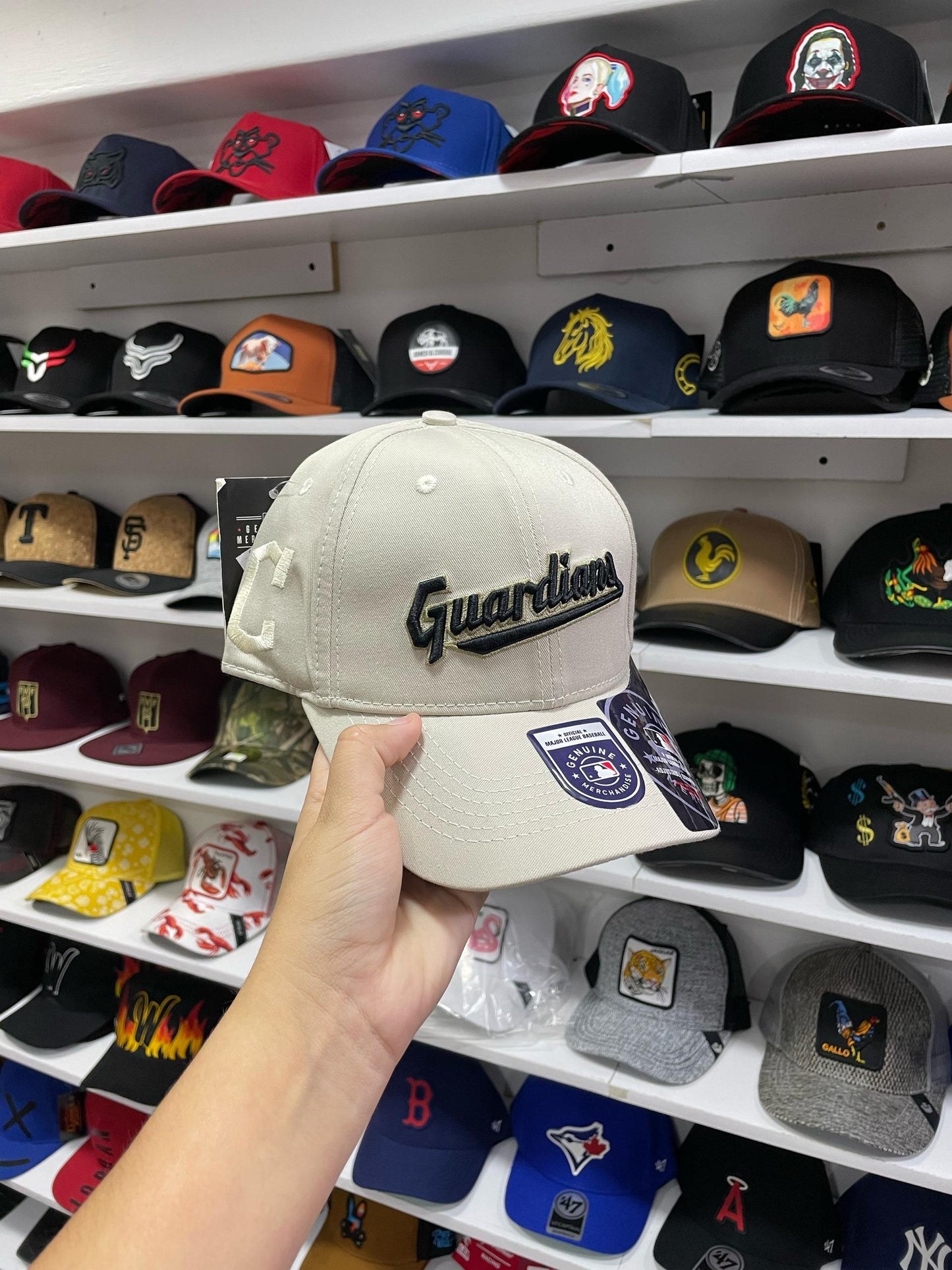 Gorras Premium