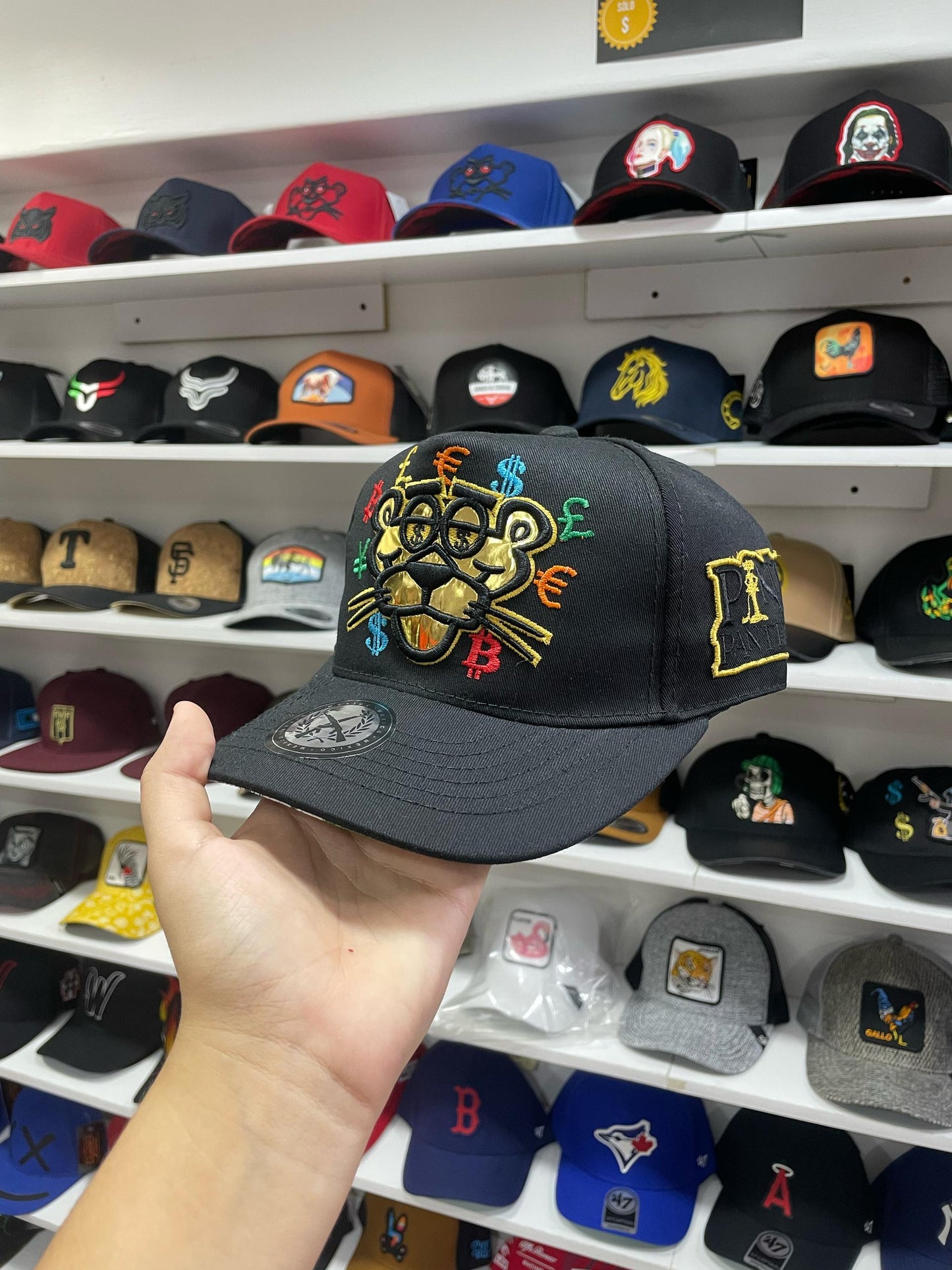 Gorras Premium