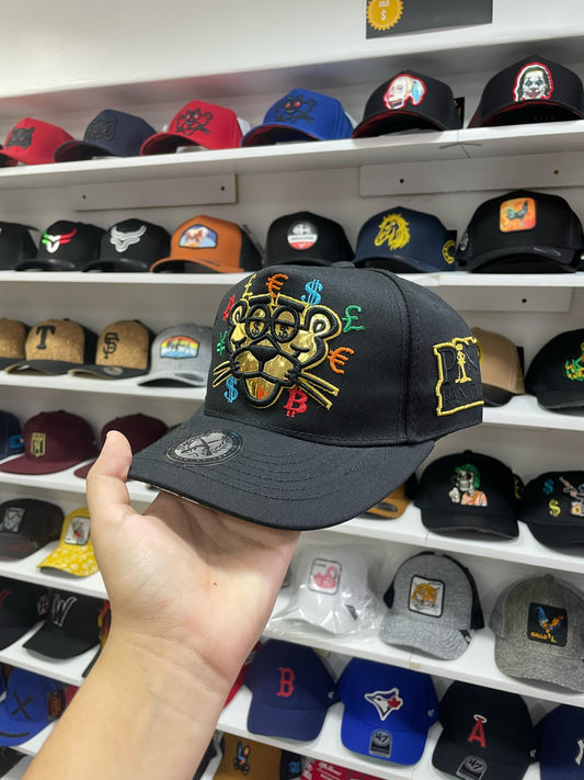 Gorras Premium