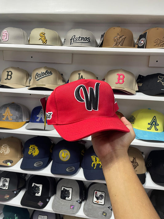 Gorras Basicas