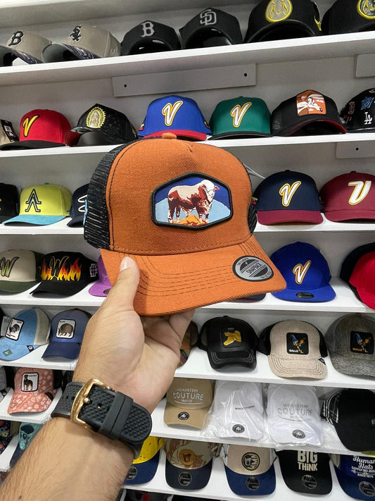 Gorras Basicas