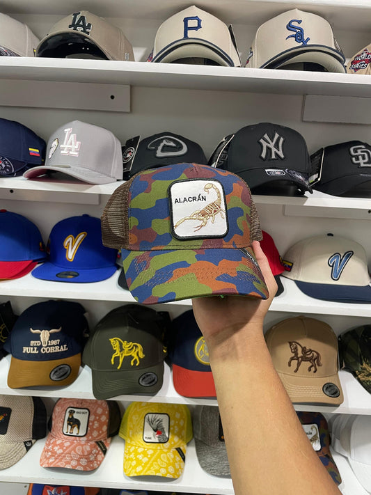 Gorras Basicas
