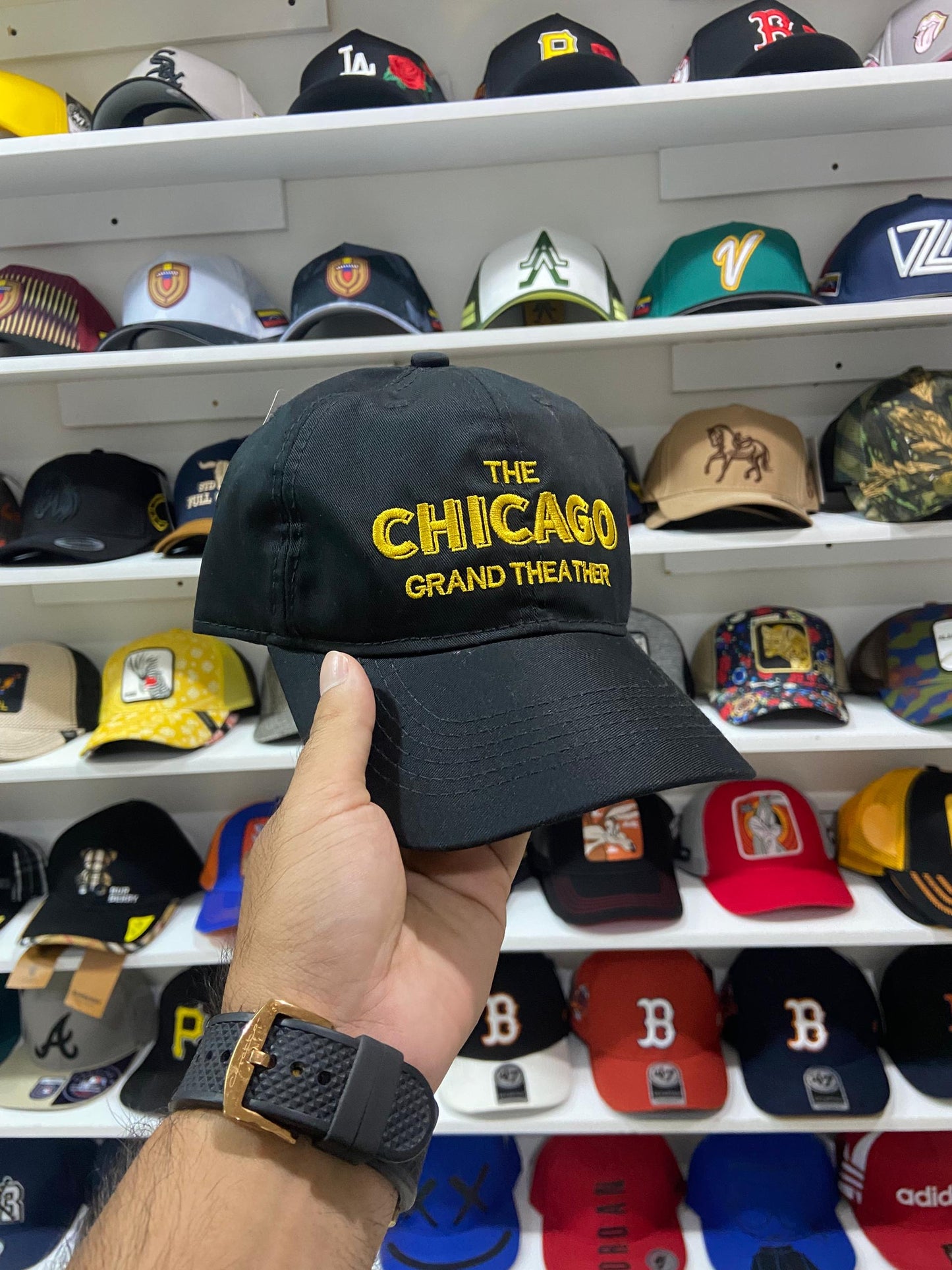 Gorras Premium